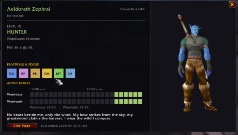 The finished Adventurer Plates card rendered in game: a landscape panel with a live 3D character portrait on the left and name, guild, motto and coloured playstyle tags on the right.